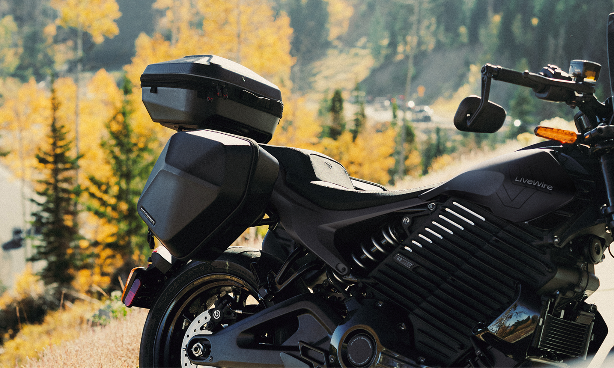 the pulse, articles, cms, compare our bikes