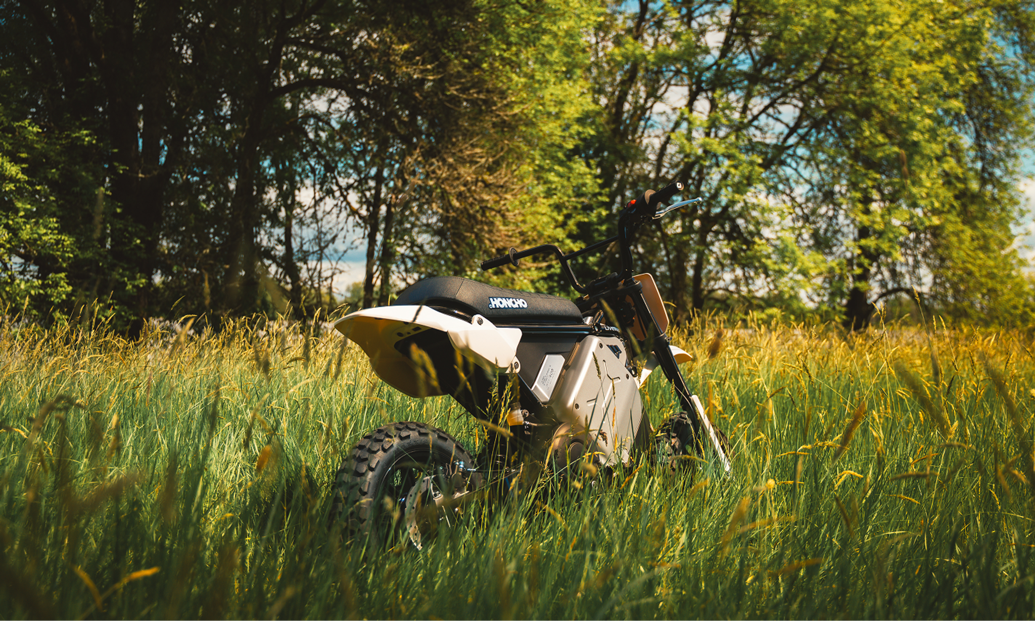 s4 honcho, honcho, honcho trail, honcho street, street, trail, bike, outdoors, nature, summer, wood, no person, landscape, tree, grass, fall, wheel, recreation, leisure, countryside, sun, fair weather, man, travel
