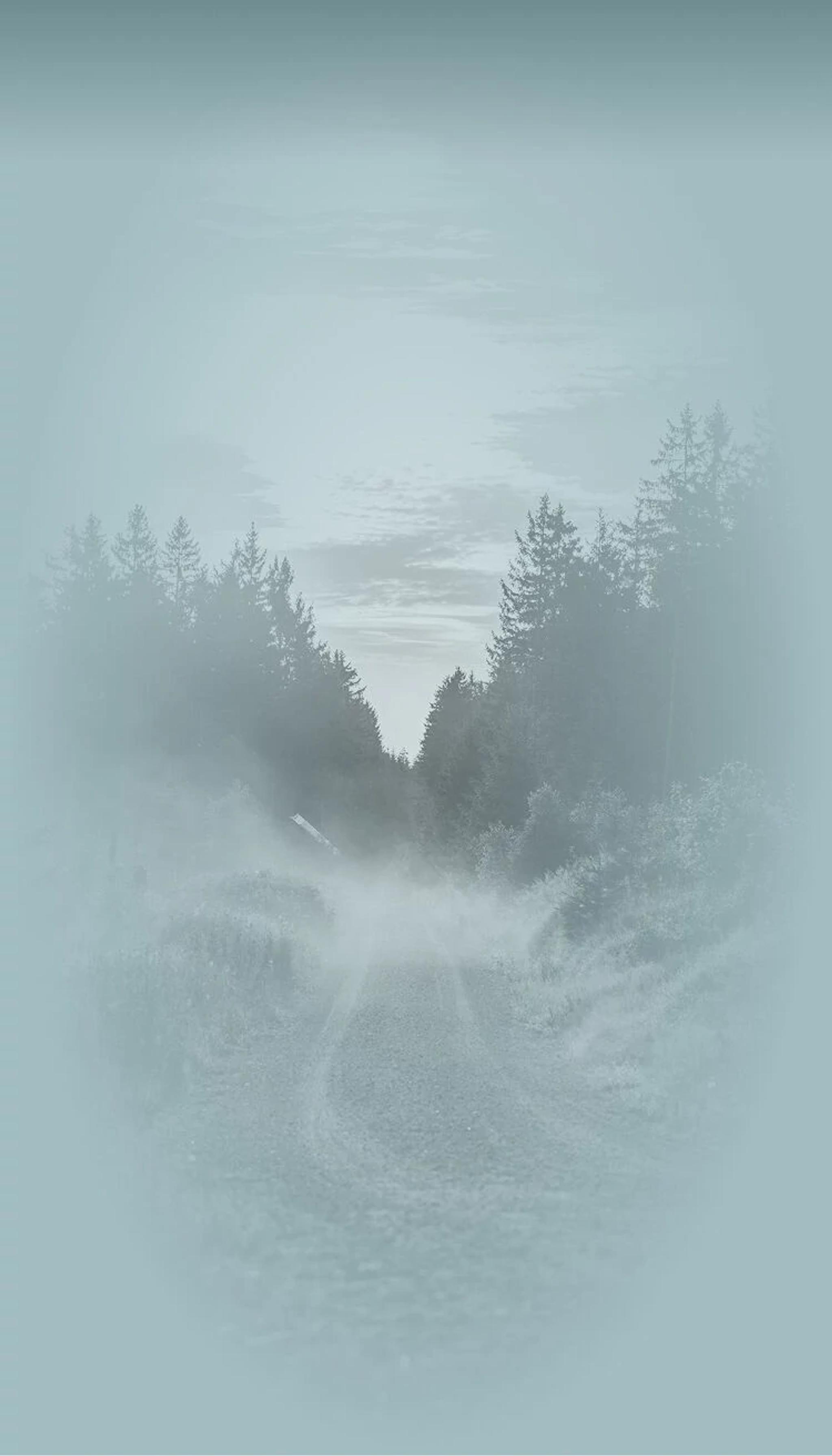 fog, mist, winter, no person, water, cold, snow, nature, h2o, frost, ice, landscape, rain