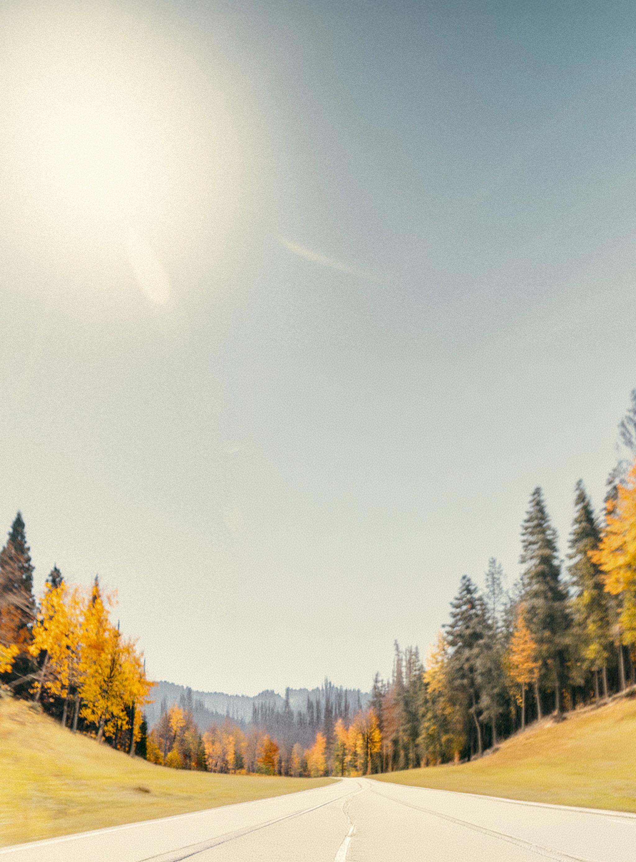 snow, landscape, tree, wood, winter, fall, light, nature, mountain, dawn, cold, sky, fog, gold, sun, sunset, scenic